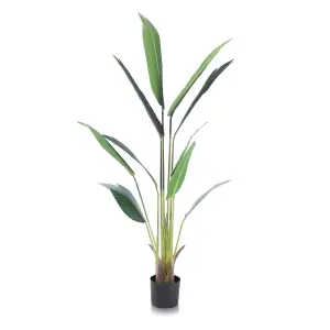 Alfresia Artificial Plant, Wide Leaf, Indoor or Outdoor Use