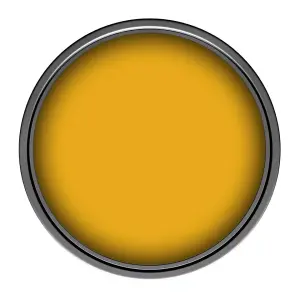 Leyland Trade Vinyl Soft Sheen Walls & Ceilings Emulsion Paint Golden Yellow (RAL 1004) - 2.5L