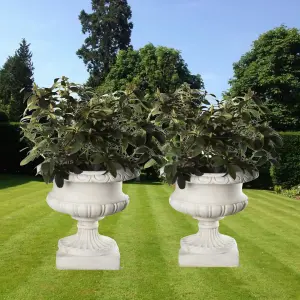 Pair of Large Edwardian Stone Vases without Handles