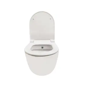 Top Ceramics White Round Wall Hung Rimless Combined Bidet Toilet with Soft Close Seat and 1.12m Cistern Frame