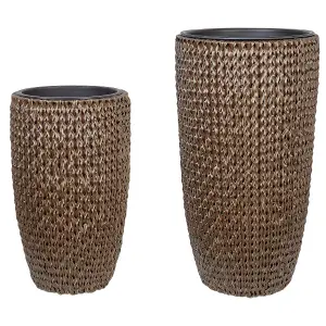 Set of 2 Plant Pots CEDRUS PE Rattan Brown