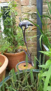 Kingfisher on Reeds Garden Ornament Sculpture with an Aged Bronze Finish