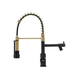 Gold Stainless Steel Side Lever Kitchen Spring Neck Faucet Dual Spouts Kitchen Tap Mixer Tap