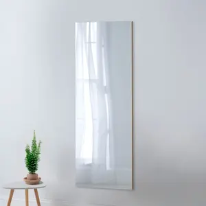 Tall Contemporary Rectangular Wall Mirror