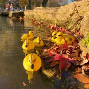 Decorative Plastic Floating Yellow Pond Ducklings (Pack of 6)