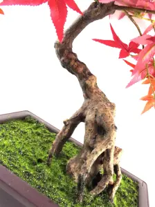 50cm Artificial Red Maple Bonsai Tree