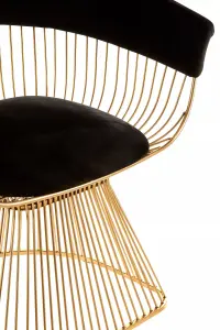 Interiors by Premier Elegant Black Velvet And Gold Finish Chair, Durable And Sturdy Dining Chair, Versatile Breakfast Room Chair