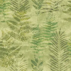 Galerie Passenger Light Green Fern Print Smooth Wallpaper