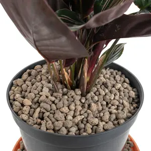 5l growing media-clay pebbles,medium size 4-8mm, pot plant topper,hydroponics,washable & reusable