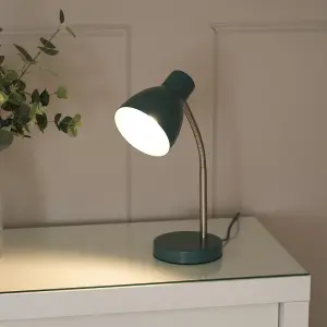 ValueLights Keela Teal Adjustable Flexi Neck Desk Lamp Task Reading Light for Living Room office - LED Bulb Included