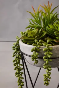 Fiori Mixed Succulent with Metal Stand Artificial Plant Foliage