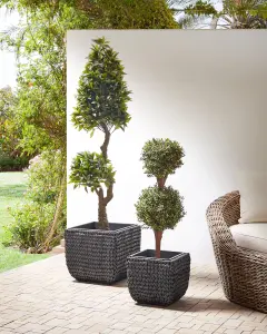 Set of 2 Plant Pots BERBERIS PE Rattan Black