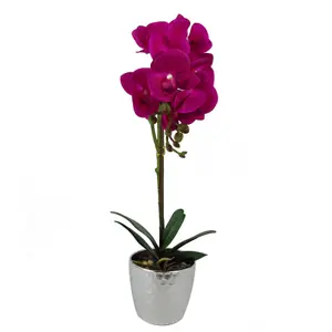 50cm Phalaenopsis Orchid Artificial - Dark Pink Silver