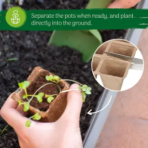 10 Seed Trays x 24 Pack - Biodegradable Seedling Trays for Germination, Transplanting & Planting - 240 Cells with Plant Labels