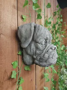 Boxer Dog Head Stone Wall Plaque