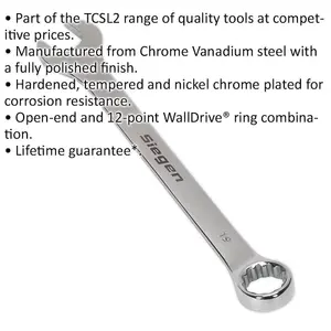 Premium 19mm Hardened Steel Combination Spanner with Polished Chrome Finish