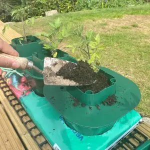 Set of 3 Tomato & Vegetable Growbag Pots with Planting Guard