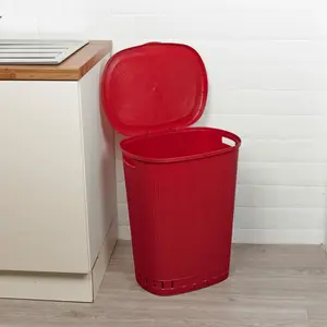 Artic Plastic Laundry Basket Red