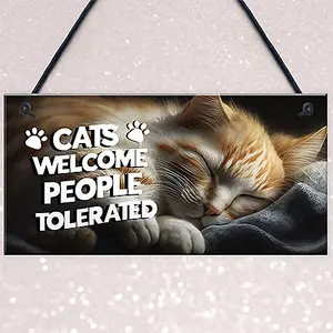 Red Ocean Funny Cat Gifts For Crazy Cat Lady Cat Lover Gifts Hanging Wall Sign Pet Lover Gifts Cat Home Decor Sign