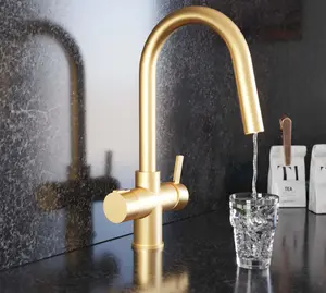 Liquida HT45BG 4 In 1 Gold Pull Out Spray Instant Boiling Water Kitchen Tap