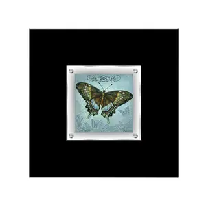 Interiors by Premier Butterfly 2 Framed Wall Art