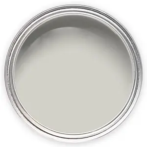 Annie Sloan Wall Paint 2.5 Litre Doric