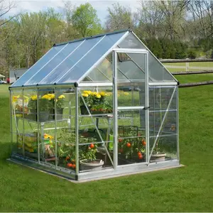 Hybrid 6 Ft W x 8 Ft D Hobby Greenhouse Silver