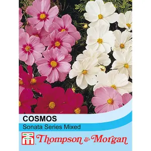 Cosmos Bipinnatus Sonata Series Mixed 1 Seed Packet (30 Seeds)