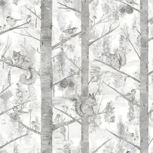 Grey Woodland Trees Wallpaper Silver Metallic Squirrel Birds Non-Woven Grizedale