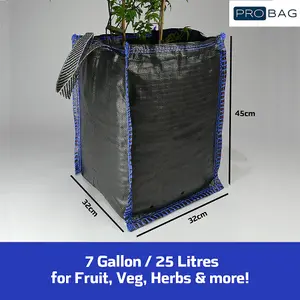 PRO Bag Planter Bag - PREMIUM GRADE - Extra Strong  Planter Bag With Drainage  - Plant Potatoes, Vegetables, Fruit