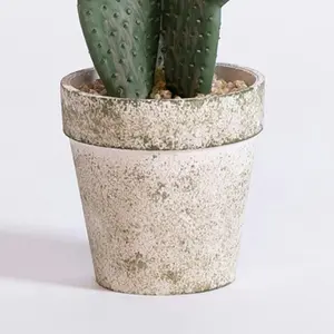 Blooming Artificial - 20cm / 0.75ft Artificial Bunny Ear Cactus