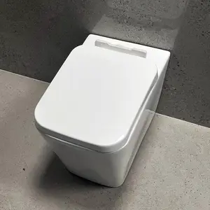 Java Ceramic Square Back to Wall Toilet Pan with Soft Closing Seat