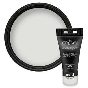 Crown Early Dawn Matt Emulsion paint, 40ml