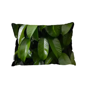 Closeup Of Beautiful Glossy Green Leaves (Outdoor Cushion) / 30cm x 45cm