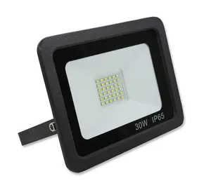 30w LED Floodlight - Black Casing