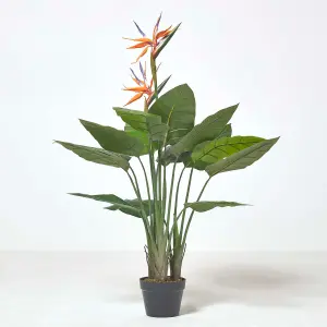 Homescapes Bird of Paradise Plant in Pot, 120 cm Tall