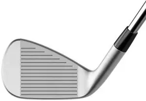 Taylormade P790 Golf Irons