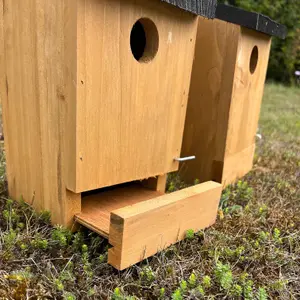 Traditional Wooden Bird Nest Box Birdhouses with Removable Bases (Set of 2)