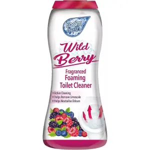 Duzzit Foam Fresh Foaming Toilet Cleaner Wild Berry 370g