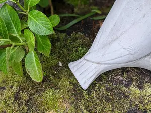 Floor level Birdbath with Perching Pigeon / Bird feeder