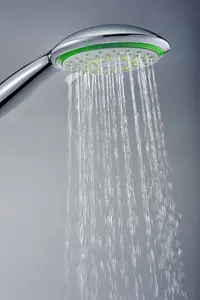 Water Saving Showerhead - Single Function Large Round with blue insert