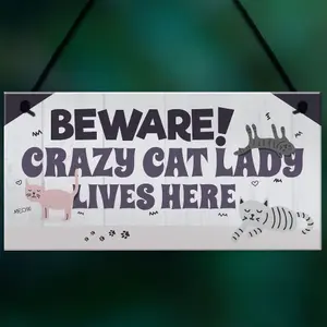 Red Ocean Funny CRAZY CAT LADY Hanging Plaque Animal Lover Sign Cute Cats Home Decor Door Gift