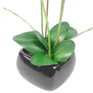 70cm Artificial Orchid Dark Pink with Black Planter