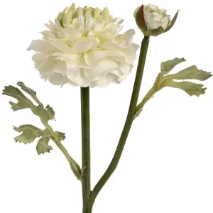 UK Homeliving Green Ranunculus Spray