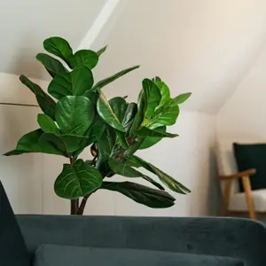 Artificial Fiddle Leaf Tree - 120cm / 4ft Floor Standing Fake Plant