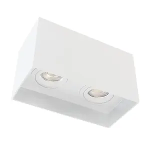 Luminosa Clark Double Spotlight 2xGU10 Surface Mounted White