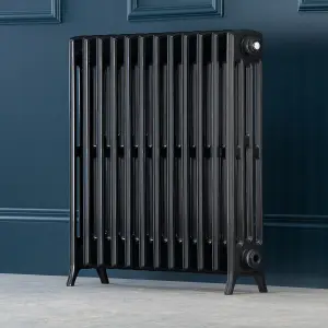 Arroll Edwardian Cast aluminium Anthracite Grey 12 Column Radiator, (W)728mm x (H)750mm