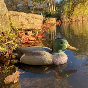 Mallard Duck Hunting Shooting Floating Decoy Pond Decoration Large (Set of 3)