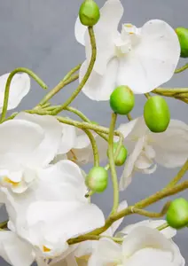 Fiori White Orchid Plant Artificial Plant Foliage