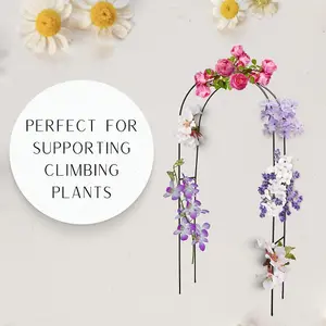 Garden Arch Metal Plant Support